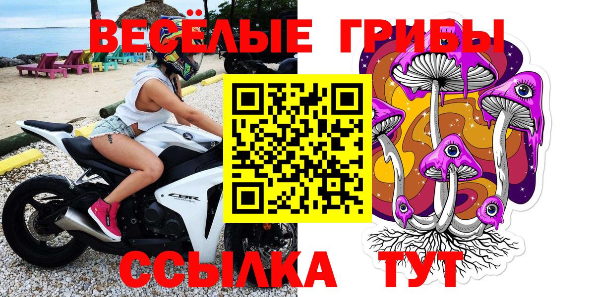 Псилоцибиновые грибы Magic Shrooms  Вход с VPN  цены наркотик  Югорск 